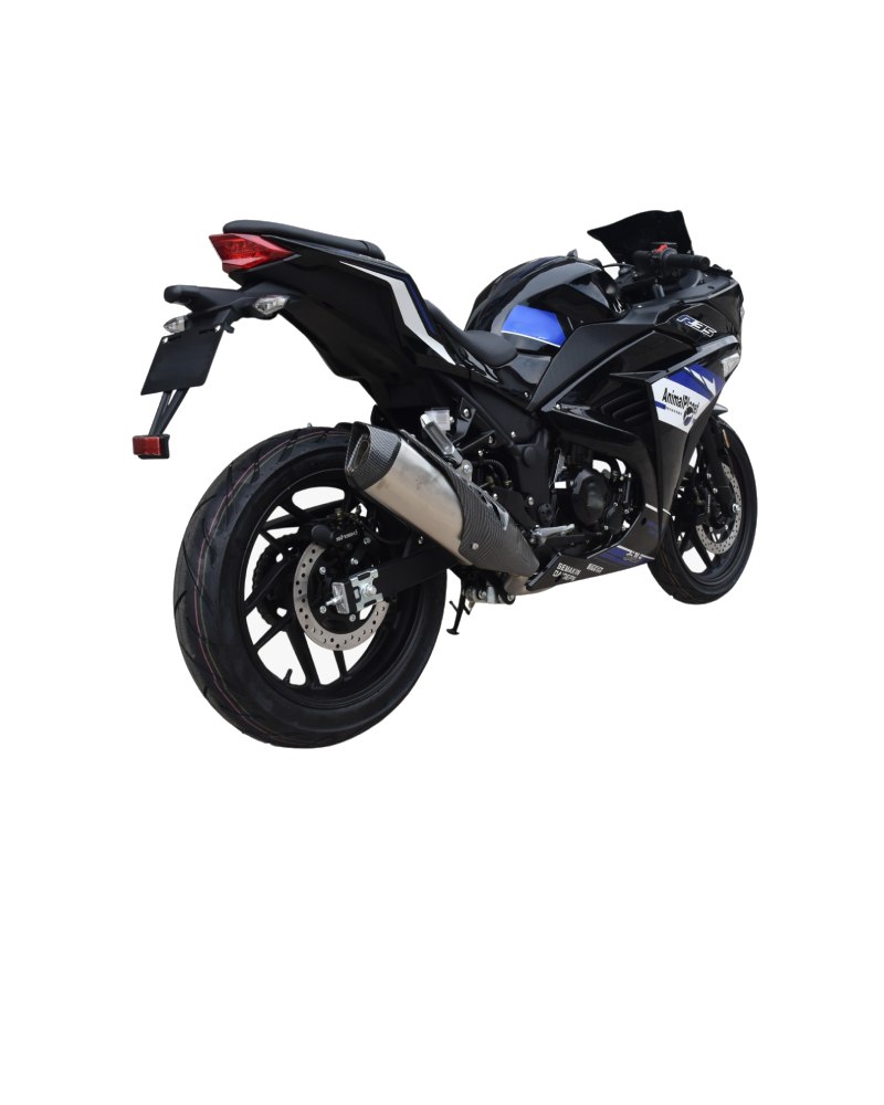 MOTO DE COMBUSTIÓN SINSKI 250CC - Imagen 2