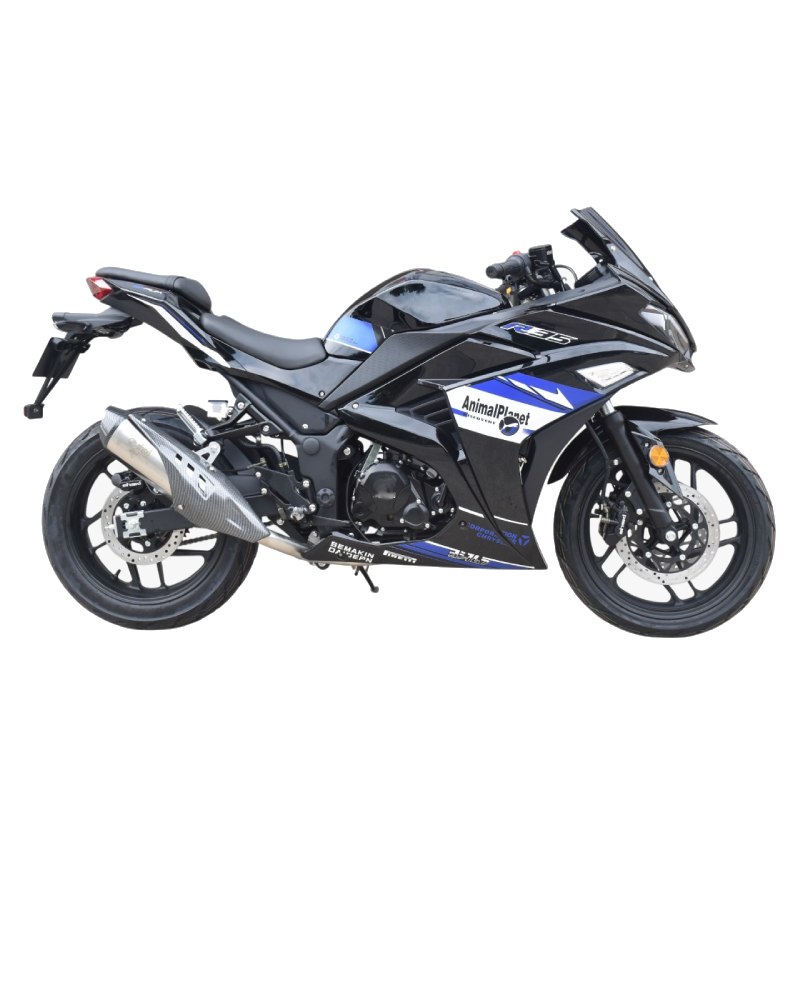 MOTO DE COMBUSTIÓN SINSKI 250CC - Imagen 4